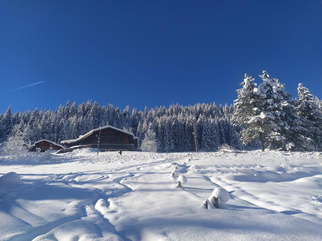Chalet Lisa B&B Morzine Exteriér fotografie