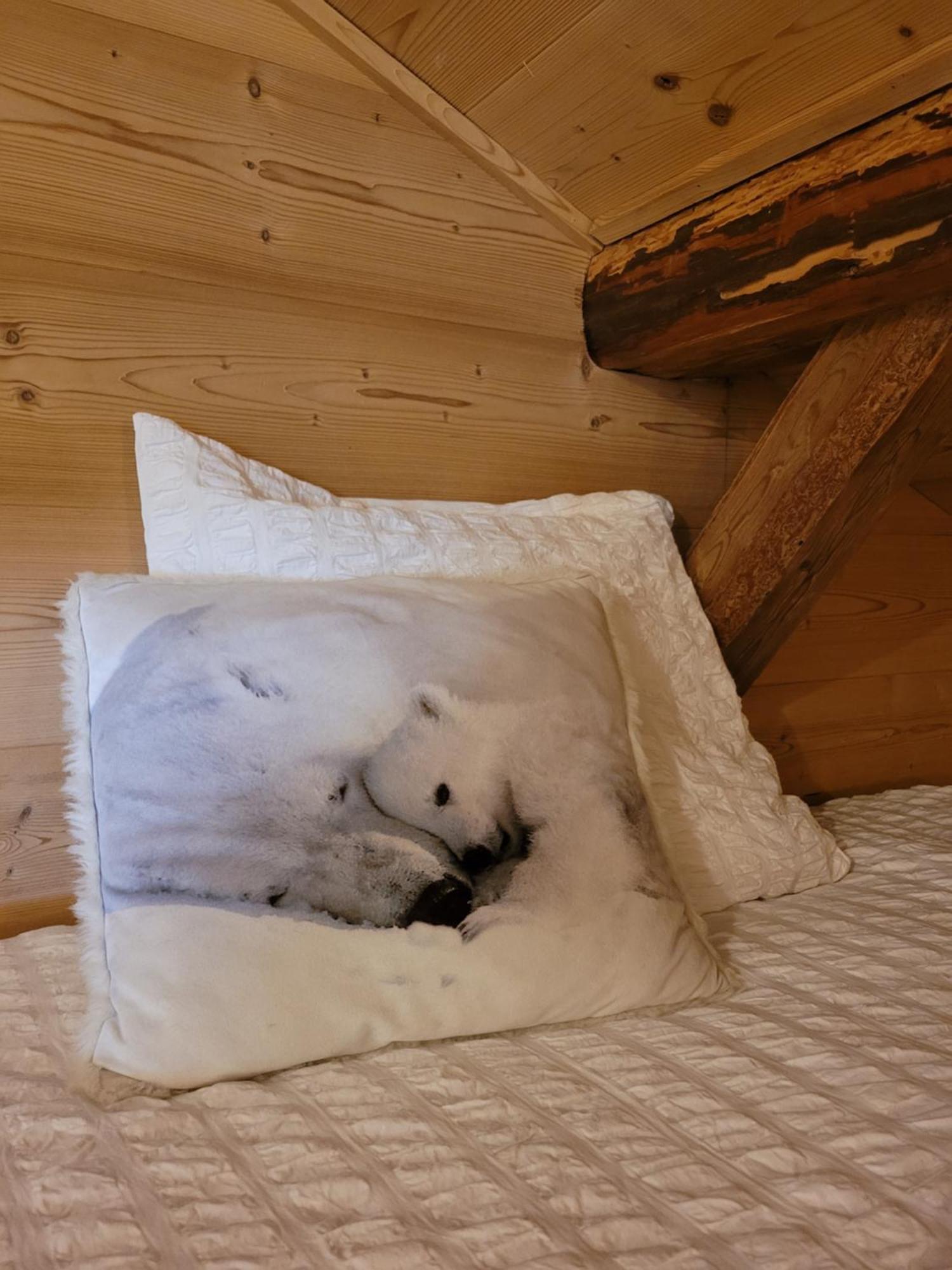 Chalet Lisa B&B Morzine Exteriér fotografie